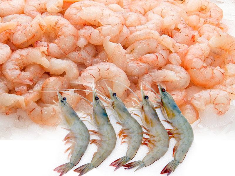 Get INR 100 OFF on amazingly fresh and tasty fish